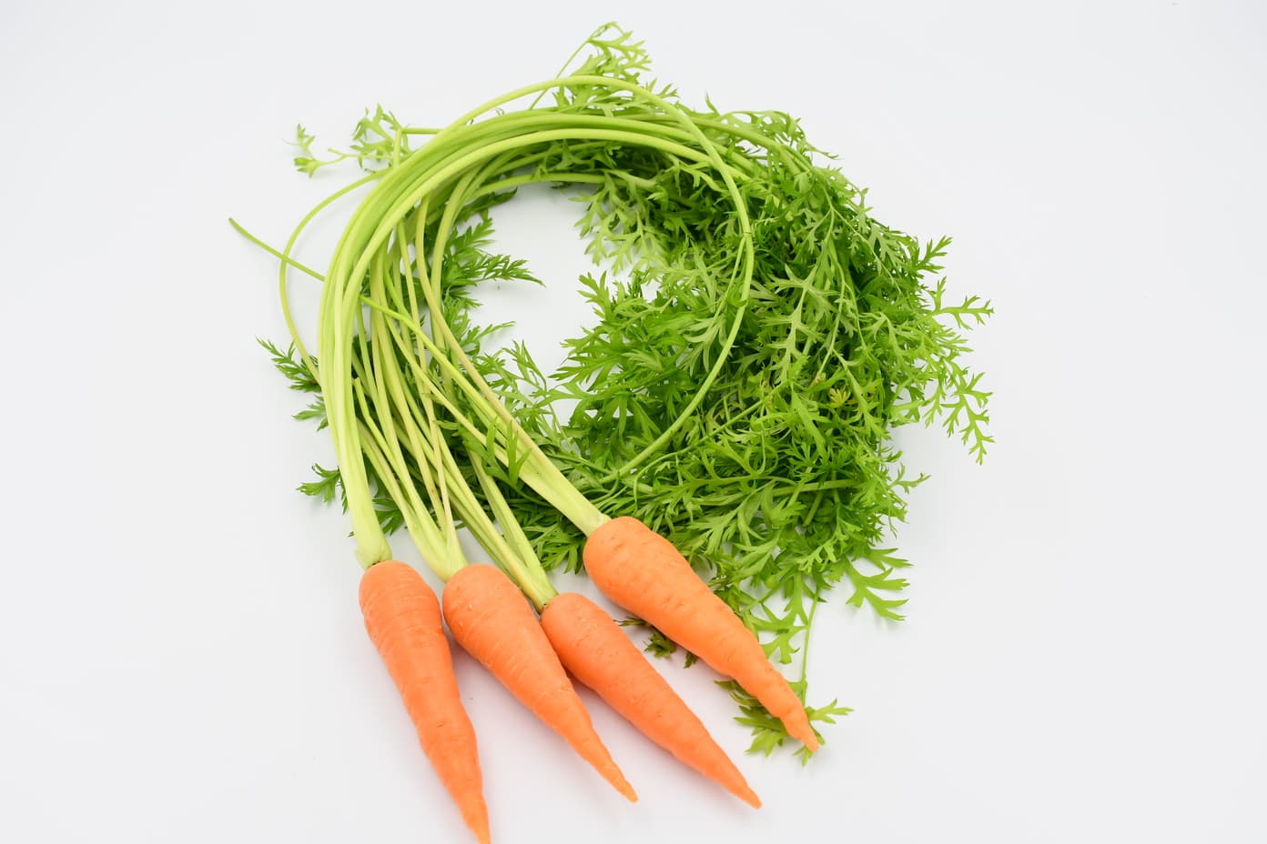 Baby carrots with leaves1