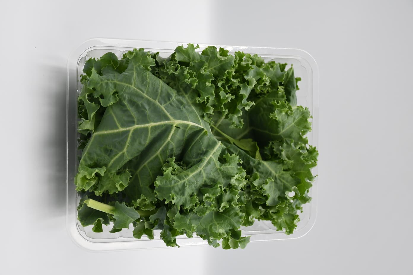 Kale-100g-Box