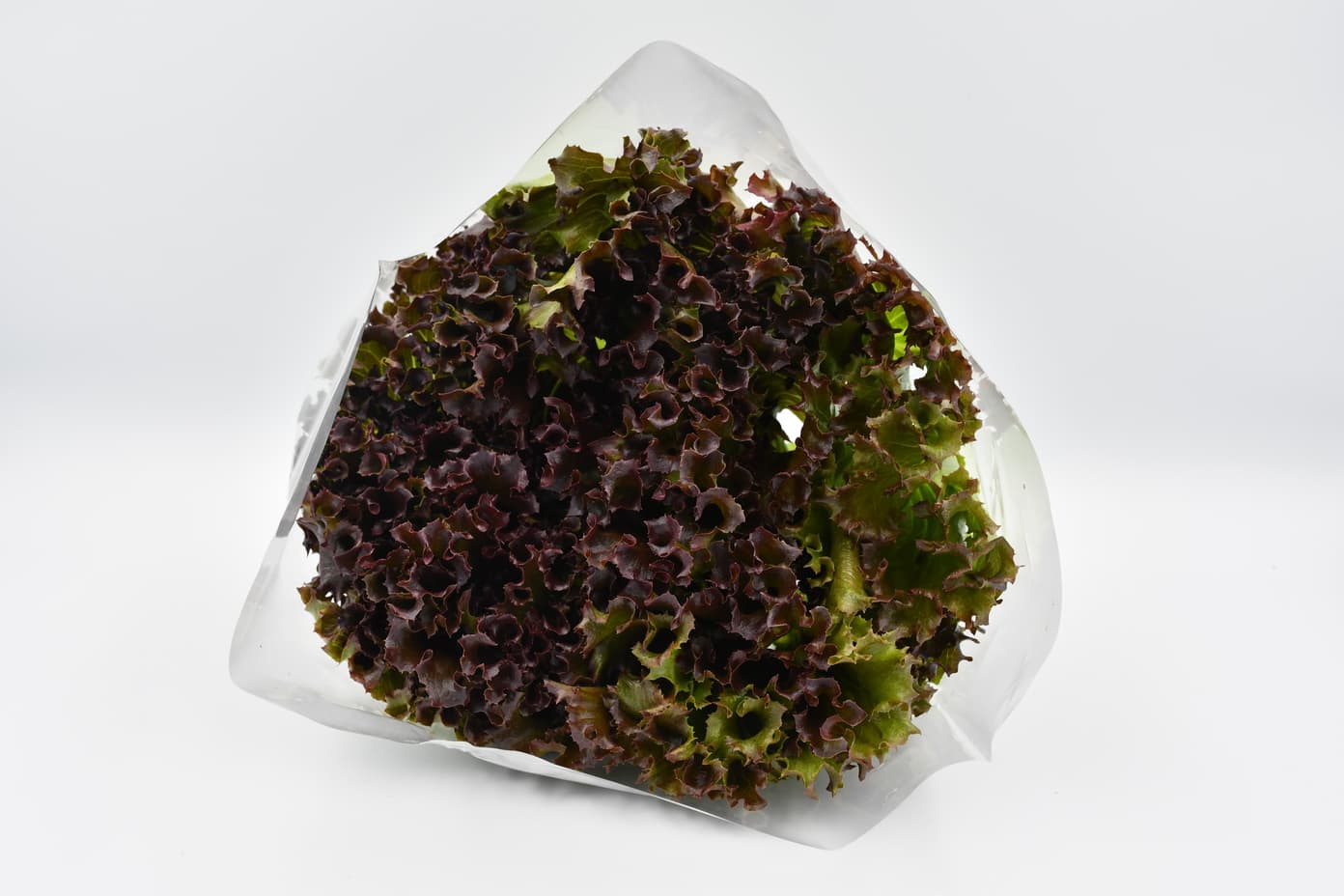 Lollo Rosso - Bunch